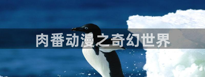 禁漫天堂jmcomic2：肉番动漫之奇幻世界