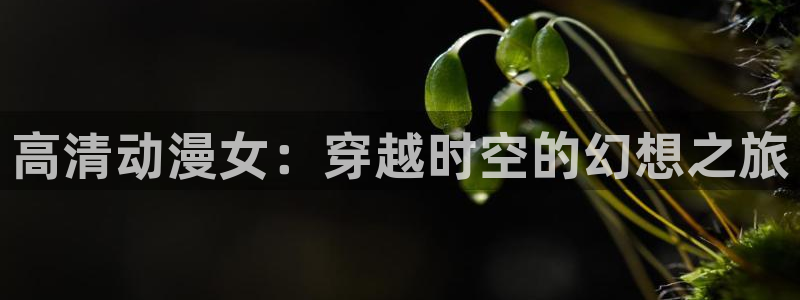 禁漫天堂下：高清动漫女：穿越时空的幻想之旅