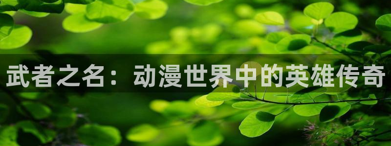 18禁漫天堂：武者之名：动漫世界中的英雄传奇